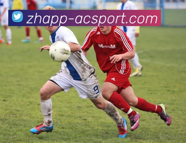 App Interface Preview