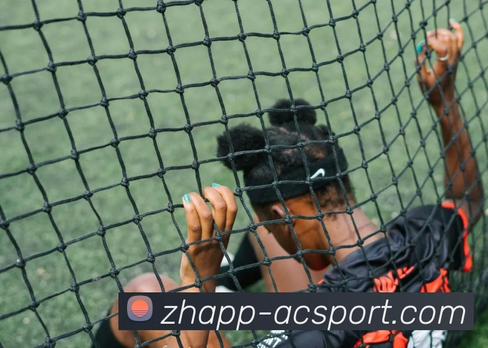 米兰体育官网APP 封面图